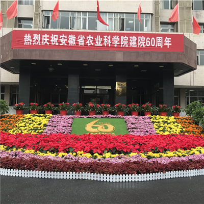 支徽農(nóng)業(yè)科學院建院60周年慶