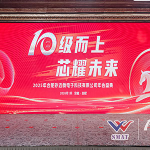 10級(jí)而上 芯耀未來(lái) 2025年合肥矽邁微電子科技有限公司 年會(huì)盛典